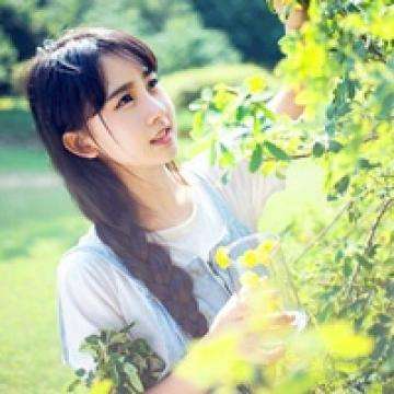 1388彩官方网站截图