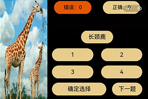 三期内必开一期待四3肖