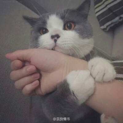 联播快讯：暴风雪席卷美中部 事故频发