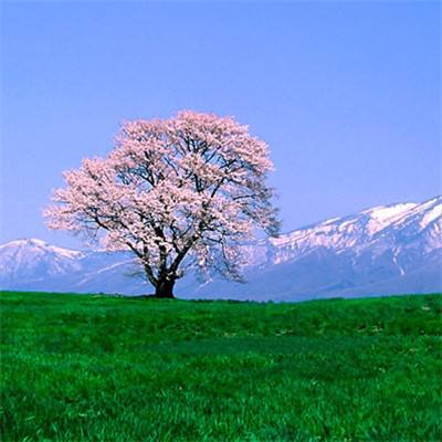 高德地图上线AED数字地图 北京、郑州用户可一键查询身边AED