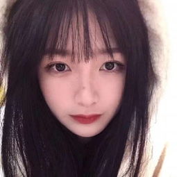 五角大楼负责人赫格塞思：特朗普将在访华后就对台军售作出决定