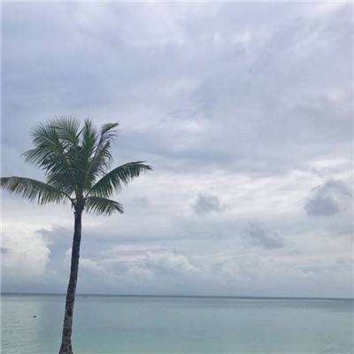 王沪宁参加河北代表团审议