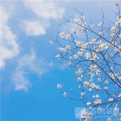 欢乐真人麻将旧版本
