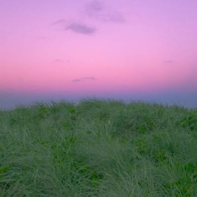 邮轮暴发汉坦病毒疫情,深扒4款邮轮险:百元VS千元,谁给的安全感更足?