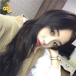 属性与生活2无限金钱版