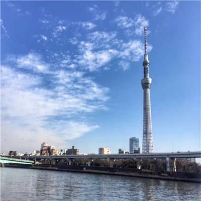 除了业绩超预期，海信视像年报和一季报还有哪些不为人知的变化？