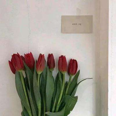 澳门必中三肖三码资料
