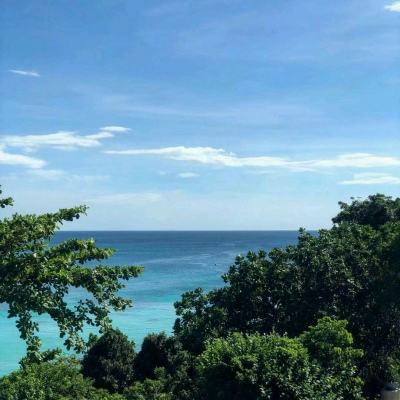 树口碑与种苗圃（人民论坛）