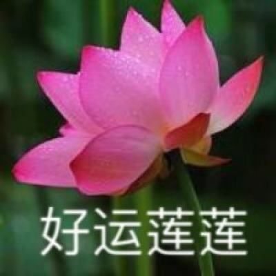 移民改革即将实施，欧盟准备好了吗