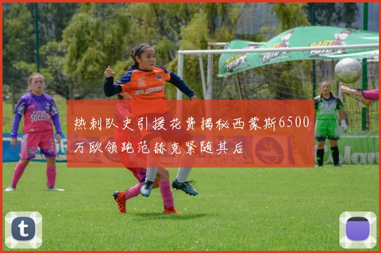 热刺队史引援花费揭秘西蒙斯6500万欧领跑范赫克紧随其后